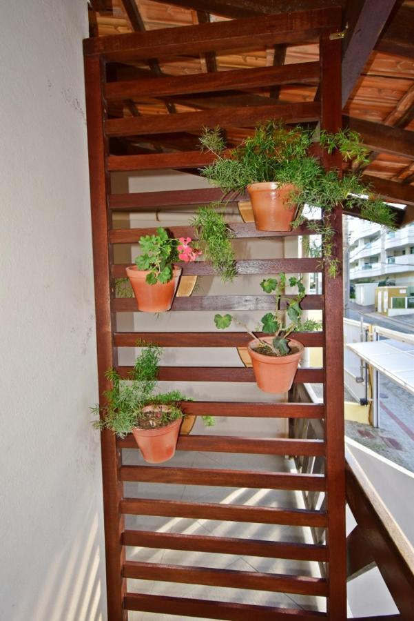 Ferienwohnung Quitinete Em Bombinhas Exterior foto